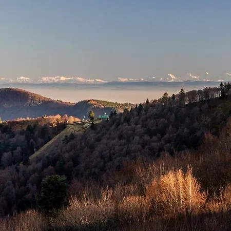 Spacieux En Duplex Apartment Saint-Maurice-sur-Moselle